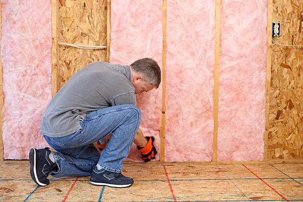 Best Specialized Insulation Services in Mooresville, NC